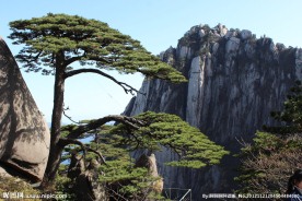 黄山风景