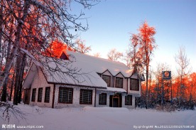 新疆阿勒泰市桦林公园雪景