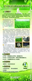 公司简介易拉宝