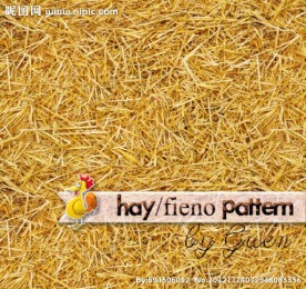 干草填充图案