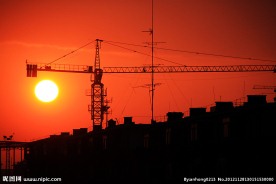 夕阳红