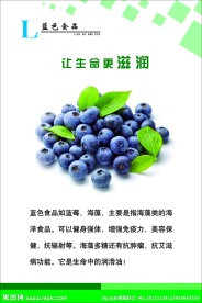 水果蔬菜展板