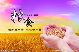 珍惜粮食展板