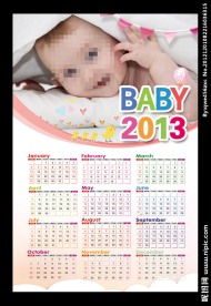 2013年日历