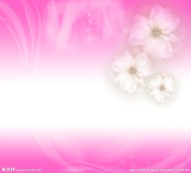 粉色背景