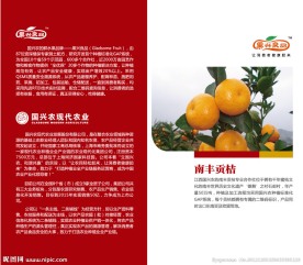 二折页 贡桔宣传单