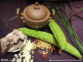 冬季养生汤系列 苦瓜排骨汤