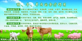 猪牛羊肉的食疗作用