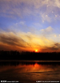 夕阳红
