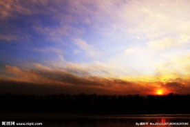夕阳红