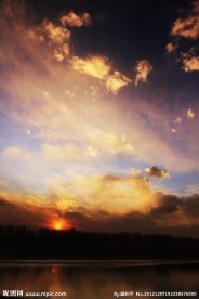 夕阳红