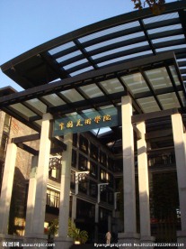 中国美术学院