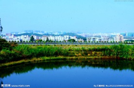 山水风景 半山池塘