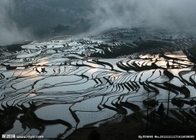 元阳旅游