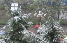 雨夹雪