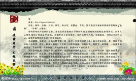 中国文化展板