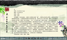 中国文化展板