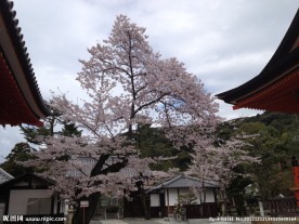 三井寺