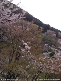 三井寺