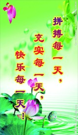 标语 展板 班级 文化墙 学校文化 淡绿色