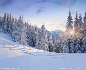 冬季雪景