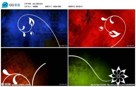 花纹图腾动画生长视频实拍素材