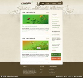 网页设计 网页模版