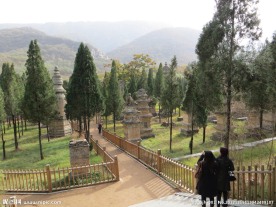 少林寺塔林
