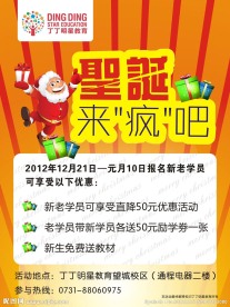 DM单 宣传单 丁丁明星教育 海报 圣诞 元旦活动
