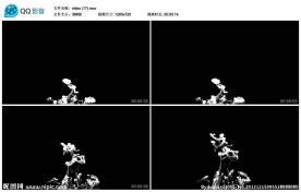 水墨中国风墨汁视频实拍素材