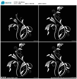 动感线条视频实拍素材