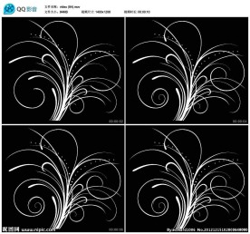 动感花纹生长动态视频实拍素材