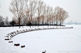 森林公园雪景