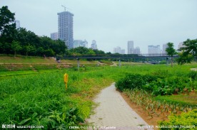 绿色河道 河桥一线牵