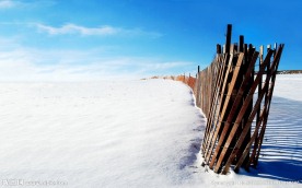 雪地