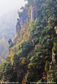 山崖