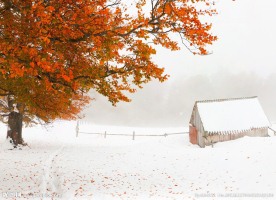 雪中小屋