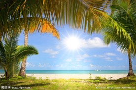 阳光海岸