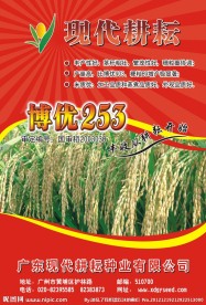 稻谷