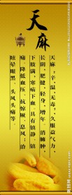 天麻