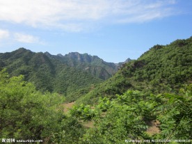 青山