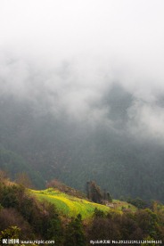 山中云雾
