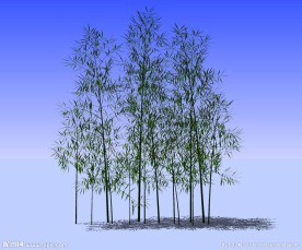 竹子精细3D模型