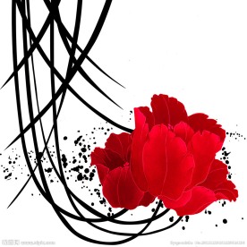红色花卉