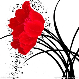 红色花卉