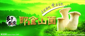 即食山菌