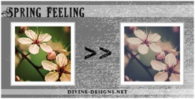 影楼PS调色动作