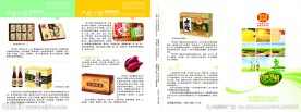 伊河桥小米宣传四折页