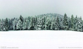 林海雪原