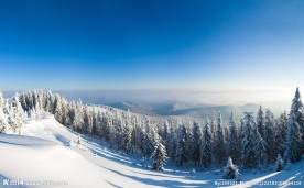 林海雪原